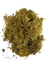 Busta Muschio +/- 60 Gr -