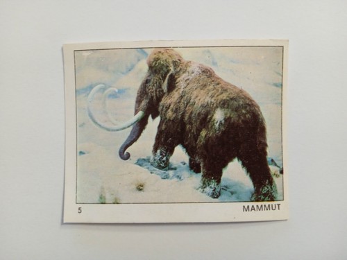 Figurina mondo degli - figurina, il