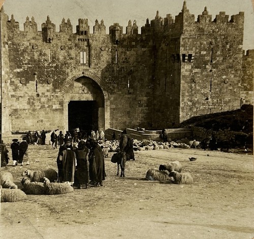 Gerusalemme porta damasco - gerusalemme,