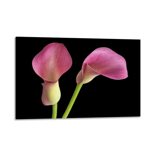 Quadro stampa tela con - quadro,