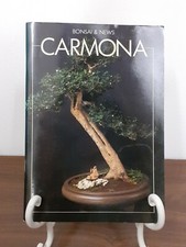 BONSAI & NEWS - CARMONA [ SNEV, 1992 ]