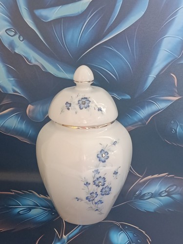 Vaso porcellana pregiata - vaso,