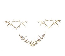 Adesivi copri capezzoli set da