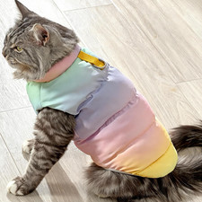 Giacca gatto riflettente