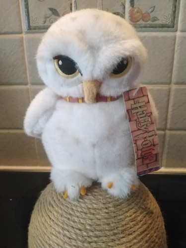 Harry potter edvige - harry,