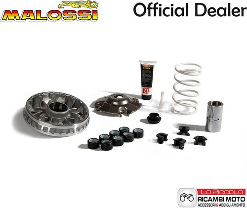 5119462 variatore malossi - 5119462,