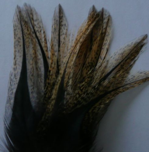Plumes coq leon - 12,