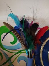 Bastoncino Fermacapelli con piume colorate Chignon carnevale