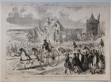 Stampa antica 1869 Trotto