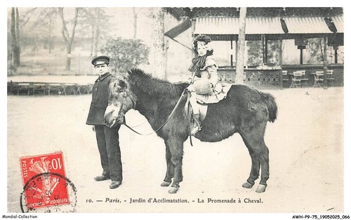 Awhp9 0597 parigi - awhp9-0597-75,