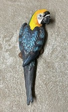 Pappagallo Macao Blu Ghisa