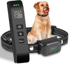 Collare Da Addestramento per