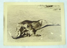 FOTO  FOTOGRAFIA GUERRA