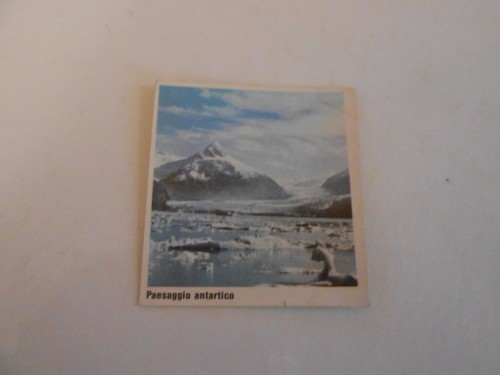 Figurina paesi conoscere - figurina, il