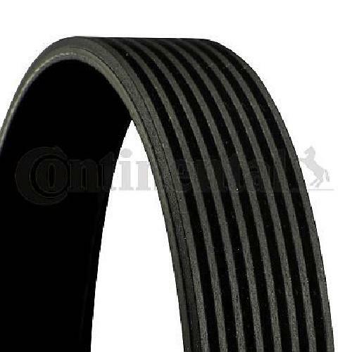 Cinghia trapezoidale originale