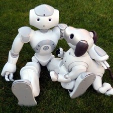 Sony Aibo Ers-1000 | Robot