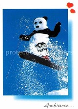 Sport invernali monoski - sport,