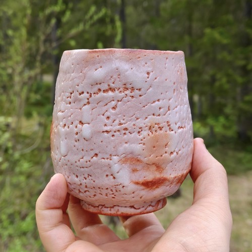 Yasuo tamaoki shino tazza - tamaoki, da