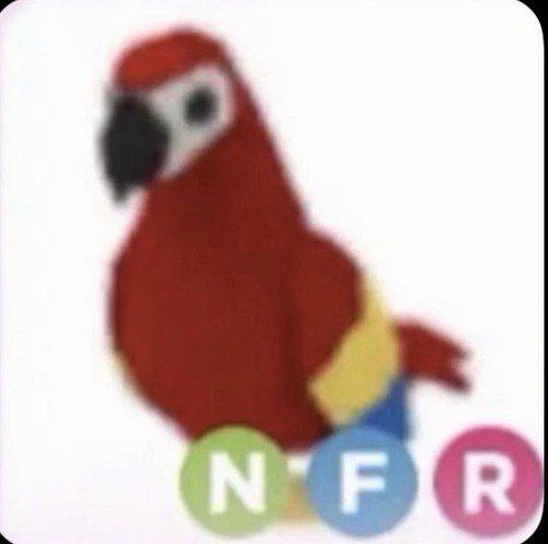 Neon fly ride pappagallo - , e