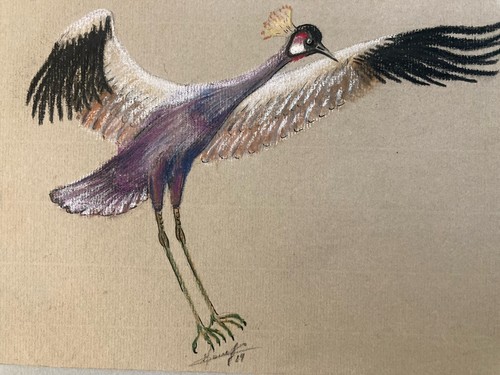 Bella disegno 1980 uccello - disegno,