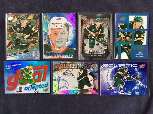 Minnesota wild hockey - minnesota,