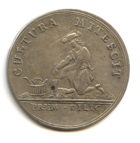 Svizzera canton berna medaglia - canton,