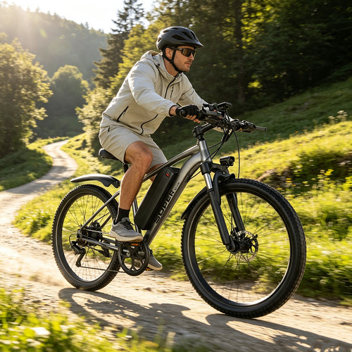 Bicicletta elettrica - bicicletta,