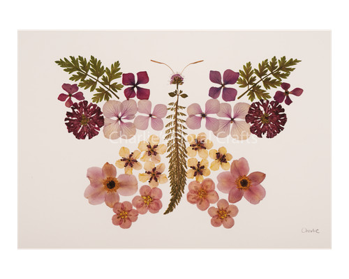 Stampa giclée farfalla - ,