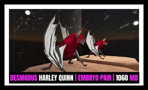 Ark survival ascended pve - survival,