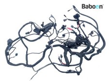 Cablaggio BMW F 700 GS 2017->
