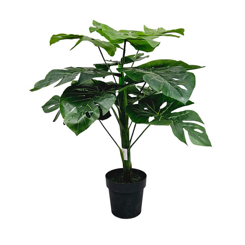 Pianta artificiale filodendro - pianta,