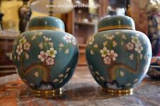 Coppia di vasi potiche con