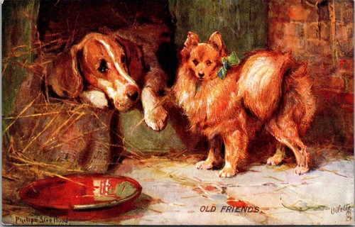 Cani vecchi amici tucks - vecchi,