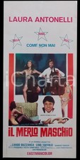 1971 IL MERLO MASCHIO Laura ANTONELLI Lando BUZZANCA *Manifesto 32x70 cm