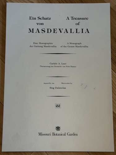 Treasure masdevallia - treasure,