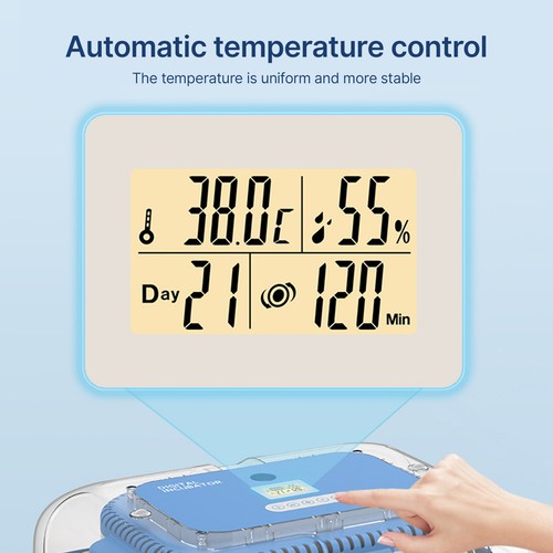 Uova incubatrice - (eu-2)70,
