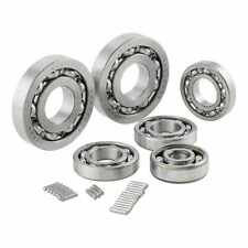 Kit SIP Cuscinetti Motore