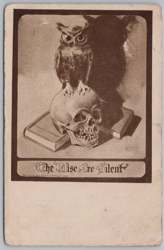 Owl the wise are silent - owl,