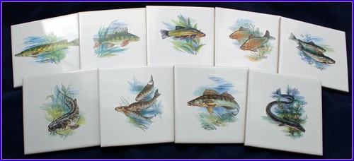 Piastrelle con motivo pesce