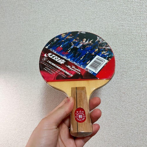 Racchetta ping pong dhs - da,