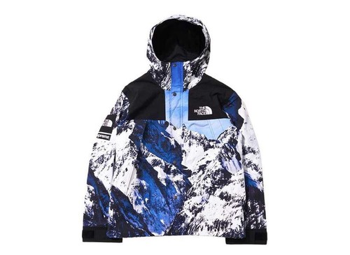Supreme the north face - supreme,