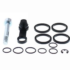 Pinza Freno Riparazione