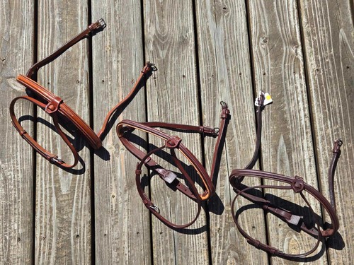 Naso cwd fancy - naso,