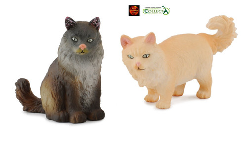 Norwegian forest pair - norwegian, cats