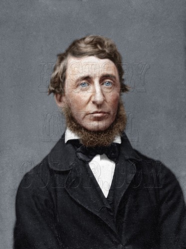 Henry david thoreau walden - david,
