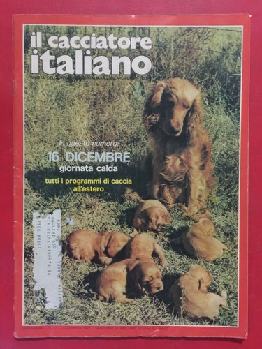 Cacciatore italiano 17 - cacciatore,