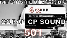 KIT CINGHIE DI RICAMBIO