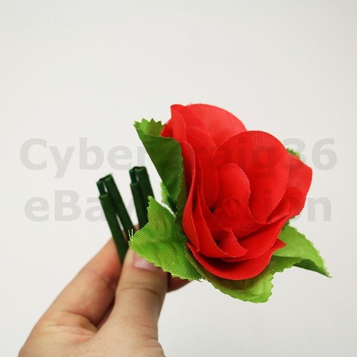 Che appaiono rosa rossa magia - che,