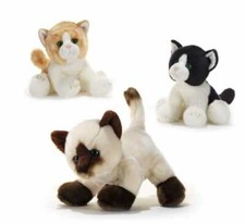 Plush & Company 15811 Peluche