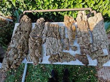 SUGHERO PER PRESEPE 4